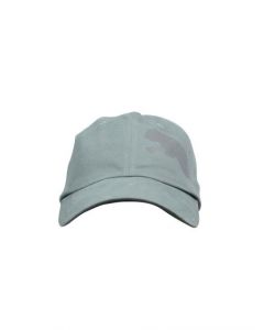 Puma Unisex Stripe Cat Steel Grey Cap