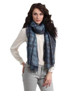 Fabindia Women Blue Stole