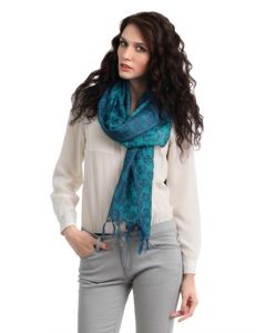 Fabindia Women Blue Stole