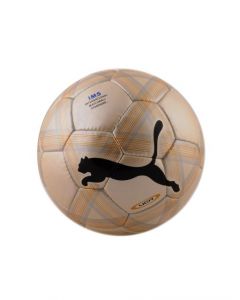 Puma Unisex Liga XL Football