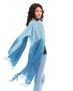 Allen Solly Women Blue Stole