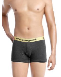 Chromozome Men Grey Trunk Trunks